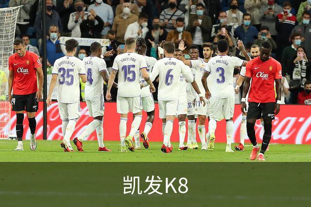凯发K8公司简介图